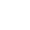 Cavapoo Cavoodle
