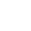 "NSA STRIP"
