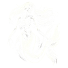 Skeleton Mermaid Mystic Ocean Art