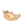 Cat Dad Gifts