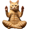 Cats Yoga / Yogi Cat