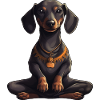 Dachshund Yoga