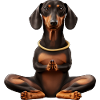 Yoga Dachshund