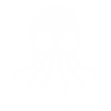 Squid