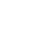 Triceratops