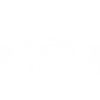 TrymeintheCorner