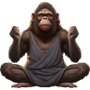 Monkey Yoga