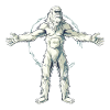 Yeti