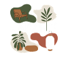 Wabi Sabi Japandi Interior