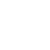 Pegasus