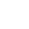 Limited Edition 1985