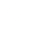 Roller coaster