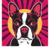 Sun Dog Pop Portrait