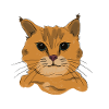 Illustration einer Katze „Schnurr“