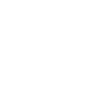 Pirate Skull