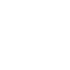 Singer Legend