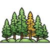 Forêt, paysage, arbres, nature