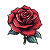 Rose Love