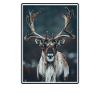 Caribou Karibus Karibu