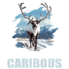 Caribou Karibus Karibu