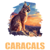 Caracal Karakale Karakal
