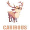 Caribou Karibus Karibu