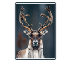 Caribou Karibus Karibu
