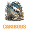 Caribou Karibus Karibu