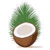 Coconut