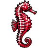 Hippocampe