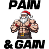 Santa Claus Pain and Gain