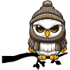 Winter Owl Branch