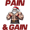 Santa Claus Pain and Gain