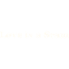 Love is a Scam