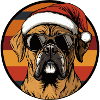 Boxer Chien Noël Cool