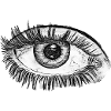 OEIL