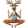 Yogi Hirsch