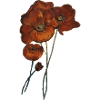 POPPIES