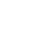 Cowboy Law Bandits Brave