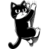 CAT | Hanging