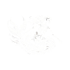 Skeleton Mermaid Mystical Art