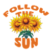 FOLLOW THE SUN SUNFLOWER