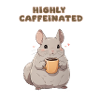 Highly caffeinated chinchilla