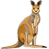 Kangaroo