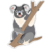 Koala Koala Bear