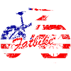 Cool Fat Bike USA