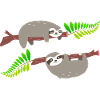 Cute Sloths