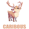 Caribou Karibus Karibu