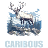 Caribou Karibus Karibu