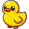 Duckling Duck Duck Duck